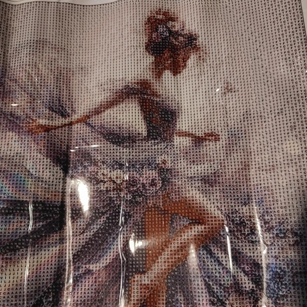 Elegant Ballerina Diamond Painting Kit 40x40